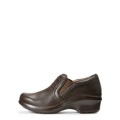 Ariat Expert SD Koyu Kahverengi Takunya Bayan (26462-833)